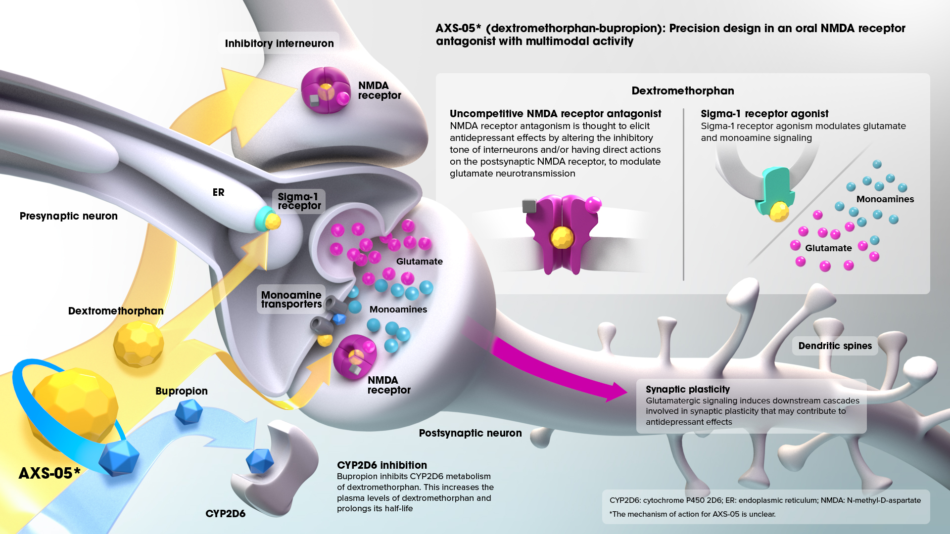 Mechanism of action of AXS-05